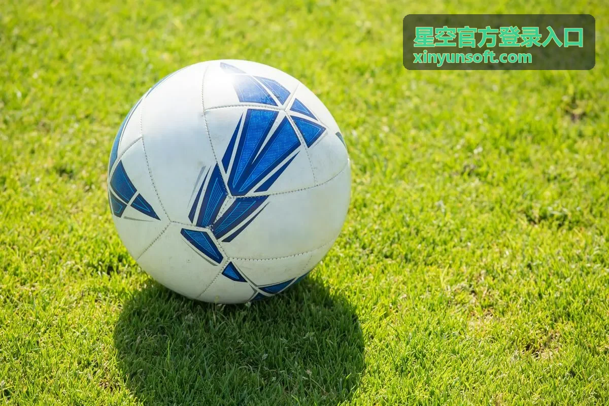 星空官方登录入口版本更新后界面说明