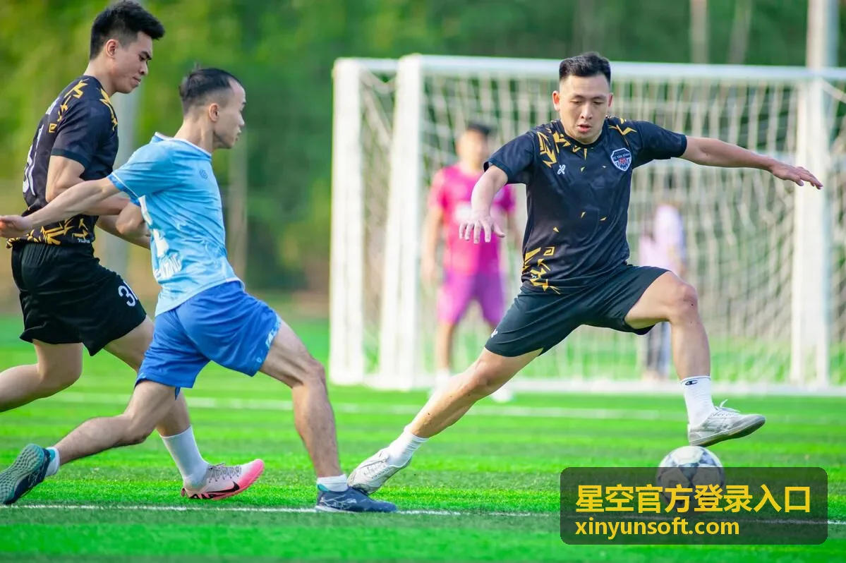 星空官方登录入口服务支持处理流程示意