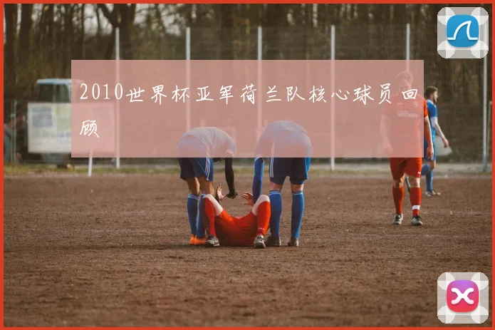 2010世界杯亚军荷兰队核心球员回顾