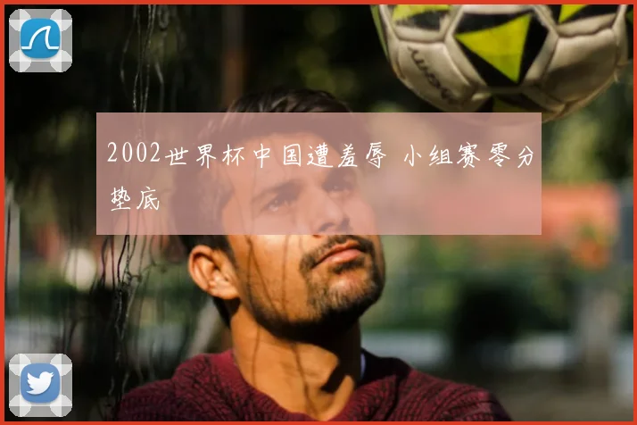 2002世界杯中国遭羞辱 小组赛零分垫底