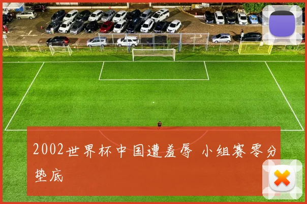 2002世界杯中国遭羞辱 小组赛零分垫底