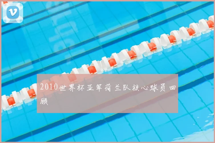 2010世界杯亚军荷兰队核心球员回顾