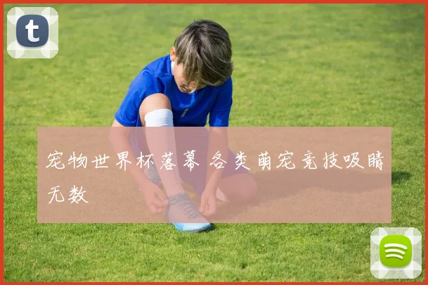 宠物世界杯落幕 各类萌宠竞技吸睛无数