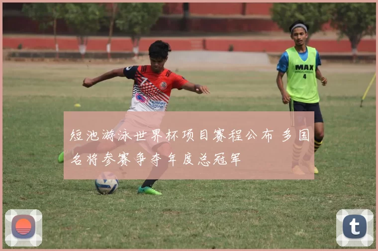 短池游泳世界杯项目赛程公布 多国名将参赛争夺年度总冠军